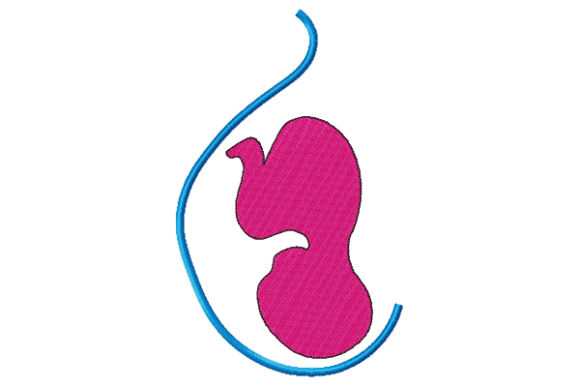 Pregnancy Embroidery Review for Boutique Apparel